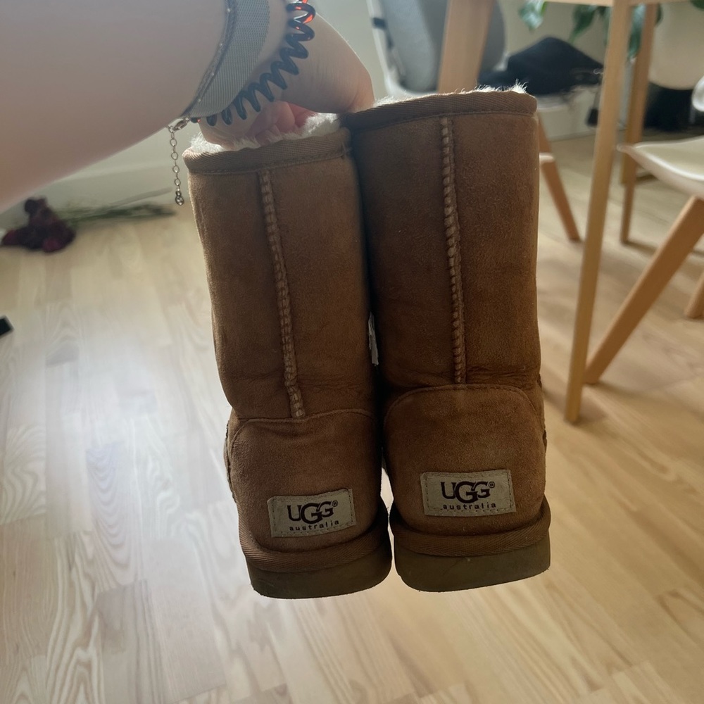 UGG Classic Short Size 6.5